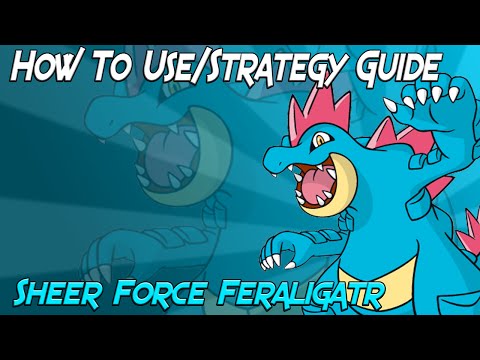 How To Use Sheer Force Feraligatr/Strategy Guide ORAS/XY!!!