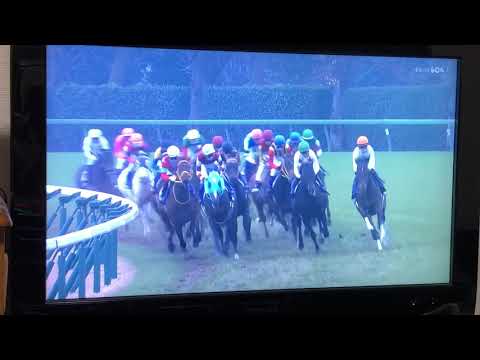 有馬記念 2018年12月23日