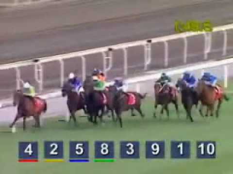2005 Hong Kong Cup - Vengeance Of Rain