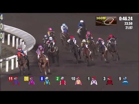 31/3/2021 (551) Happy Tango - J Moreira