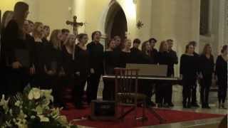 Hvidfeldtska Chammer Choir, Malta.M4H02331
