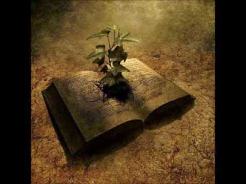 Veldina Alibegić - Da mi je svijet kao što nekada bješe