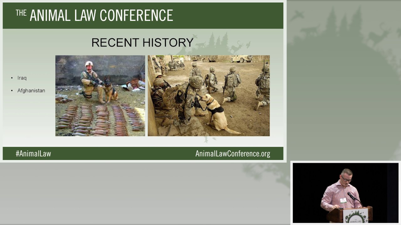 Animal Law Conference 2016 - 04 - Military Working Dogs- War Heroes Treated as Property 10-08-16