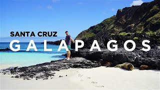 GALAPAGOS: ISLA SANTA CRUZ - Travel Vlog met ALLE SIGHTS & EILANDEN in 4K