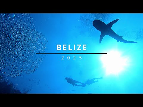 Belize Diving 2025