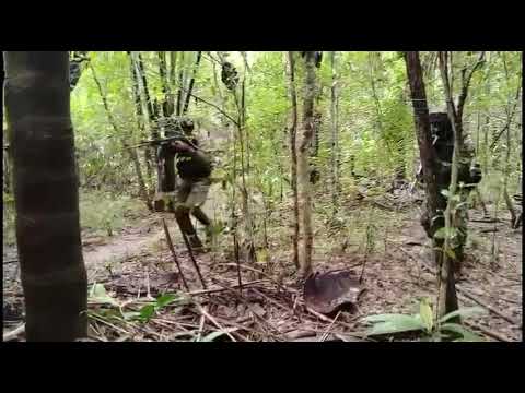 Destruido mega cristalizadero para el procesamiento de clorhidrato de cocaína en Orocué