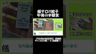 【飯テロ】餃子!! 午後の宇都宮
