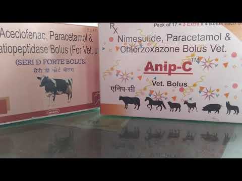 Paracetamol, Nimesulide & Chlorzoxazone Bolus (Vet), For Veterinary, Packaging Size: 10 Tabs, Non prescription