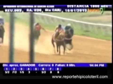 Resumen Martes 10 de Enero de 2012 - Rancho Alegre