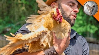 WING'ED by a CHICKEN!