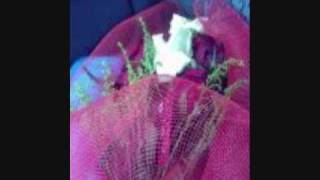 صورة عروة وزوجته