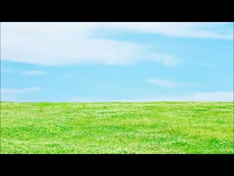 「眠れる森の美女」の DNS – DoH に王子が登場