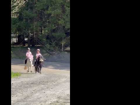 So proud of Ella 👏 #shorts #horse