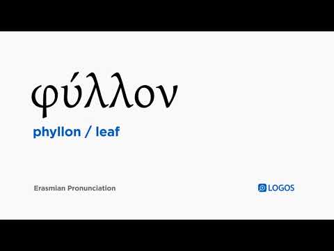 How to pronounce Phyllon in Biblical Greek - (φύλλον / leaf)