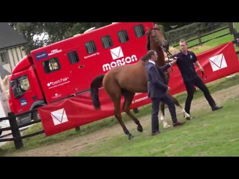 Paul Nicholls' Stables | Owner's Day 2018