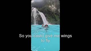 Your Love (with Lyrics) - Michelle Wright