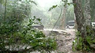 preview picture of video 'Rainstorm in the jungle at Yaxha, Petén, Guatemala'