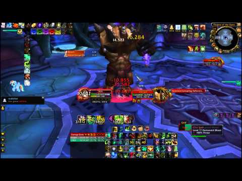 Monk Soloing: Cho'Gall — ilvl 463 edition