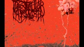 Testicular Manslaughter - Ingest and Mutate