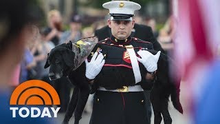 Watch A Marine Give His Beloved Dying Dog A Touching Final Ride | TODAY