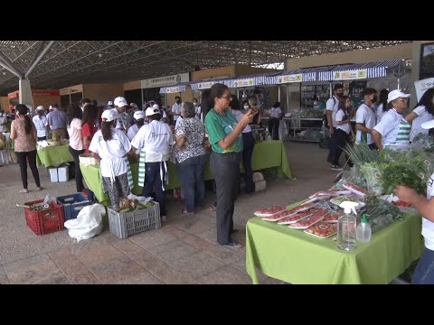 Produtores rurais de cinco comunidades participam de feira na UFPI 03 09 2022