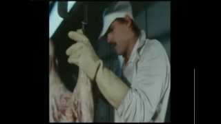 Skeptics - A.F.F.C.O (making of the video)