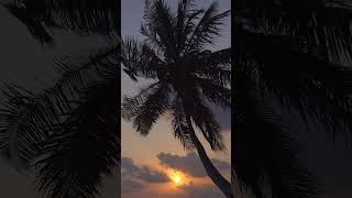 Relaxing Acoustic Guitar.Soft MusicAcoustic Romantic Guitar love song.