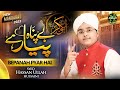 Syed Hassan Ullah Hussaini Bepanah Pyar Hai New Manqabat 2023 Official Video Safa Islamic