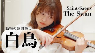 Download lagu Saint-Saëns：The Swan（Carnival of the Animals No.13）/ Violin mp3
