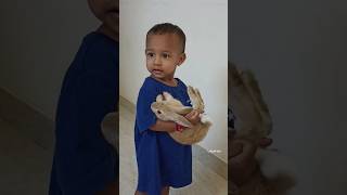 Download lagu Rabbit With baby video | yaar indha muyal kutty | rabbit tamil song | life of hari mp3