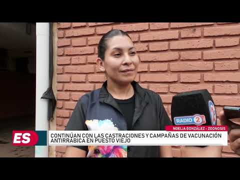 Castraciones y vacunación antirrábica en Puesto Viejo