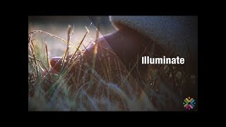 Illuminate