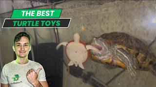 Bestes Schildkrötenspielzeug: Die besten Spielzeuge für Schildkröten im Test