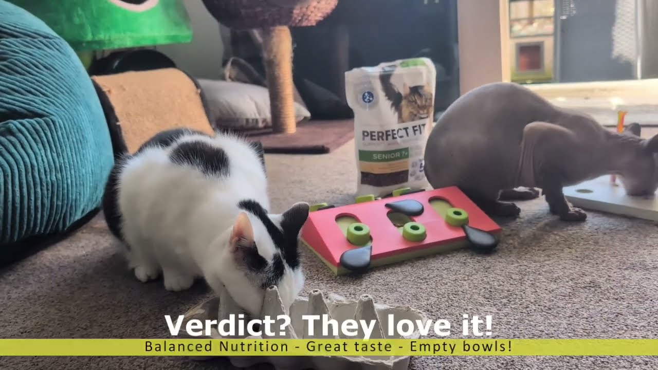 Taste Test: Perfect Fit Dry Cat Food