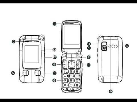 Manual De Usuario Teléfono Qilive Q.4269 en PDF 🤓📚📕
