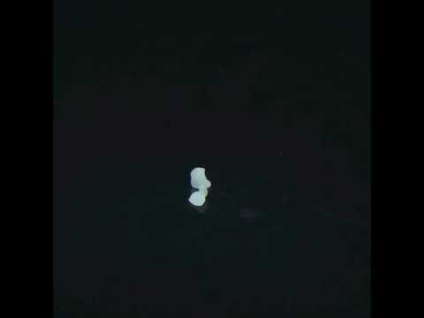 YouTube 썸네일