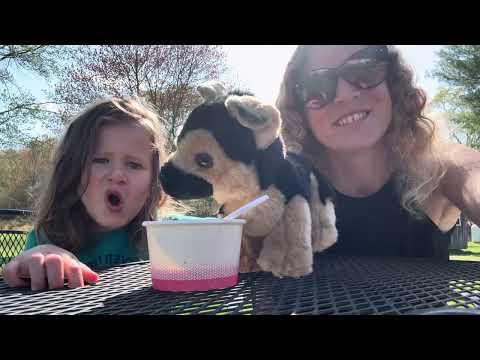 Video Thumbnail for Spring time in CT. GOATs are jumping ze fence!