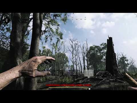 Hunt  Showdown 2018 11 11   23 45 19 11 DVR