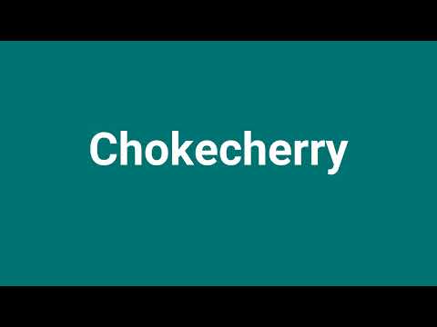 'Chokecherry' Meaning and Pronunciation