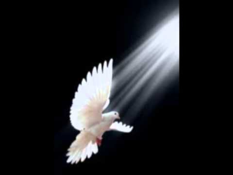 Schowaj mnie (kiedy fale mórz) [cover]