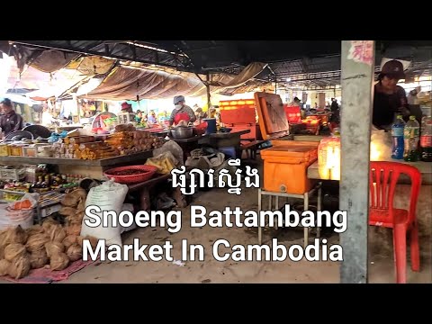 CAMBODIA TRIP Snoeng Market In Battambang ផ្សារស្នែងបាត់ដំបង Countryside Market