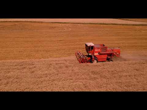 sezona /  season 2019