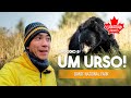 A Sós Com Um URSO Banff National Park Ep 08