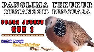 Download lagu SUARA JERNIH BURUNG TEKUKUR KUK 1  GACOR PALING AMPUH UNTUK PIKAT DAN PANCINGAN mp3