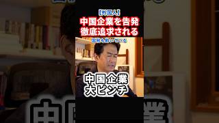 【驚愕】国税も本気！中国企業が悪質な脱税で告発される！#政治 #ショート