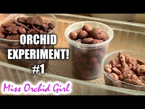 Finding a better Orchid media - Orchid experiment #1 Video