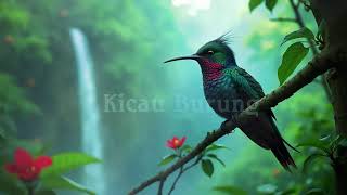 Download lagu Pikat Burung Kecil Paling Ampuh! Mp3 Durasi Panjang mp3