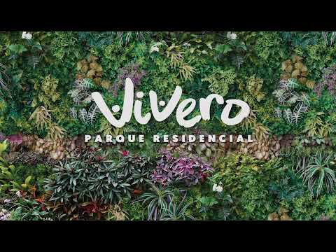 Previsualización de video