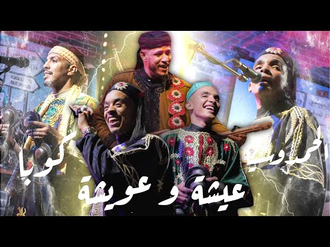 Maalem abderahim chmirou & Youssef tibi & ilyas koyo - Aicha,Hamdouchia,koba🖤عيشة، الحمدوشية،كوبا
