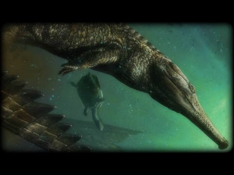 Machimosaurus Rex - Largest Saltwater Crocodile - Documentary